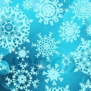 Meet your Posher, Kylee